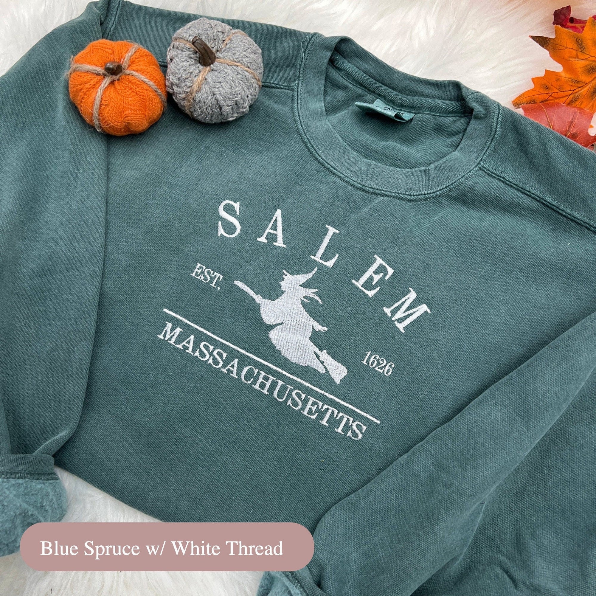 Salem Massachusetts Embroidered Sweatshirt β Vintage Witchy Aesthetic
